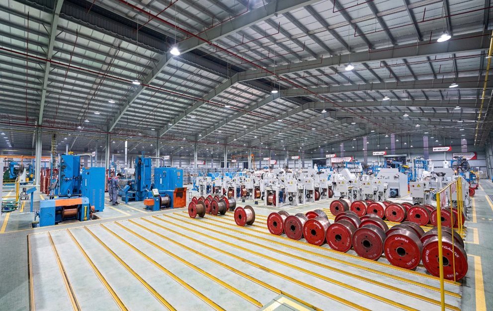 GELEX được VIS Rating nâng triển vọng xếp hạng tín nhiệm dài hạn A lên “Tích cực” - Ảnh 3.