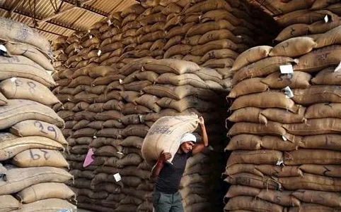 Ấn Độ vượt Trung Quốc trở thành nhà sản xuất gạo lớn nhất thế giới - Ảnh 1.