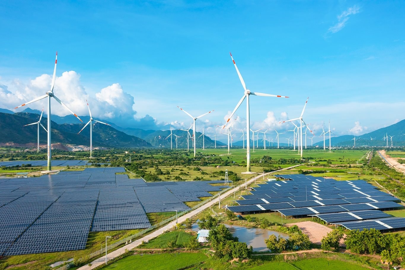 Trung Nam báo tin vui- Ảnh 1.