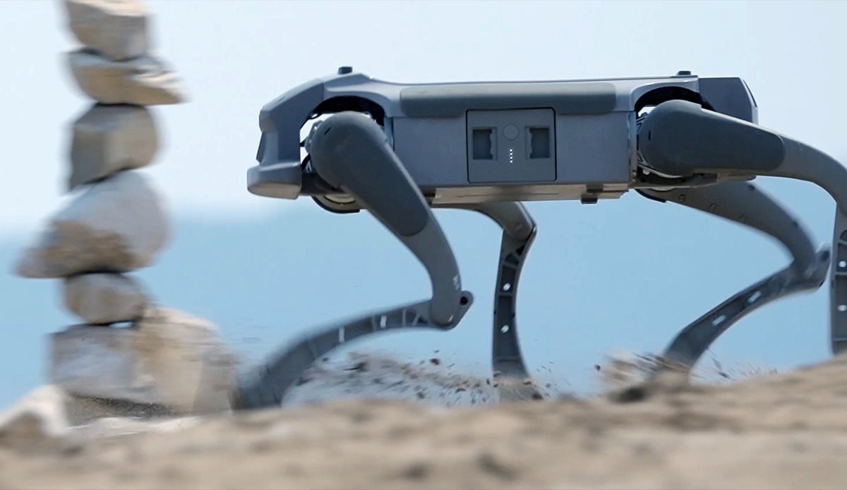 Hãng robot Mỹ chọn TP.HCM làm cứ điểm sản xuất chó máy toàn cầu- Ảnh 1.