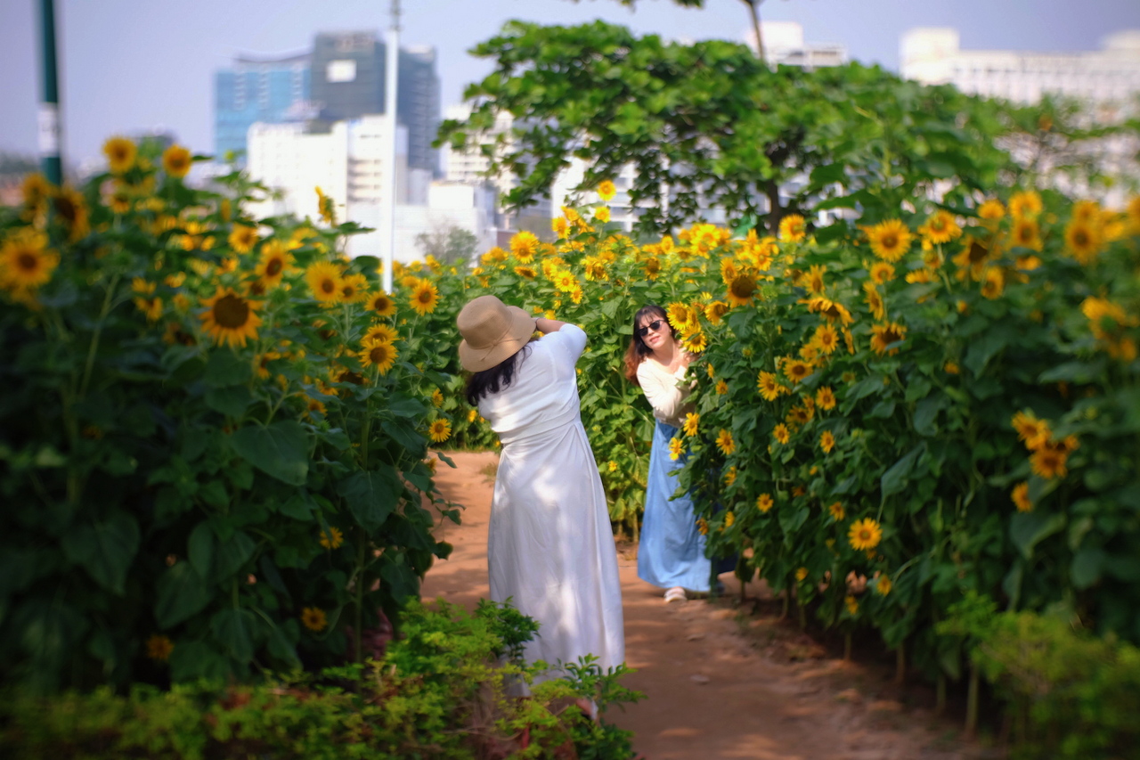 Những điểm check-in "ngàn hoa" hút khách ở TP Hồ Chí Minh- Ảnh 7. Những điểm check-in "ngàn hoa" hút khách ở TP Hồ Chí Minh- Ảnh 7.