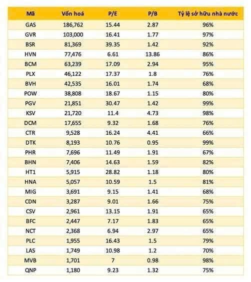 Điểm danh 26 công ty trên sàn có tỷ lệ sở hữu Nhà nước 'cô đặc' từ 65% - 99%: Kỳ vọng sóng lớn từ thoái vốn?- Ảnh 2.