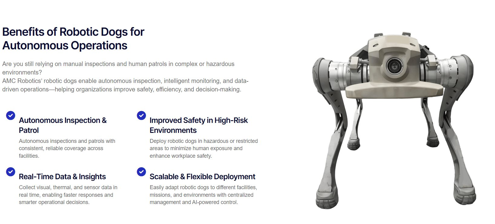 Hãng robot Mỹ chọn TP.HCM làm cứ điểm sản xuất chó máy toàn cầu- Ảnh 2.