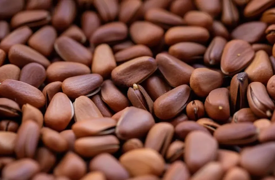 Top 10 thực phẩm "tốt bậc nhất thế giới", Việt Nam không thiếu thứ gì- Ảnh 1.