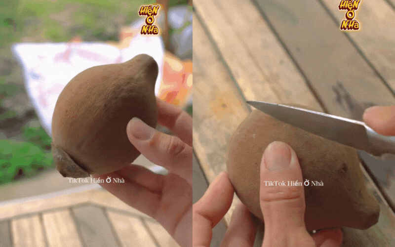 Cơn sốt quả lạ Chupa Chupa "vỏ dừa, ruột xoài, mùi hồng treo gió" đang khiến dân tình rần rần săn lùng - Ảnh 2.