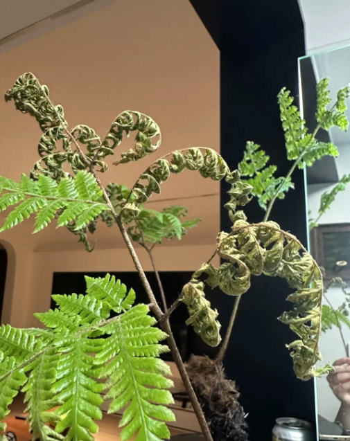 Buông bỏ là thượng sách: Tôi da diết khuyên bạn thẳng tay vứt 8 món "rác nhà" này - Ảnh 1. Buông bỏ là thượng sách: Tôi da diết khuyên bạn thẳng tay vứt 8 món "rác nhà" này - Ảnh 1.