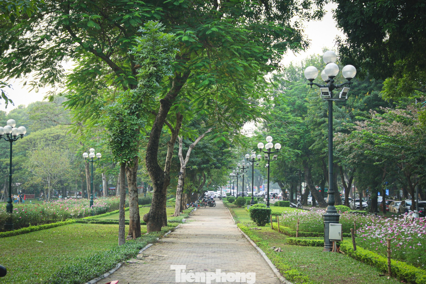 Loạt công viên Hà Nội 'lột xác' sau chỉnh trang- Ảnh 1.