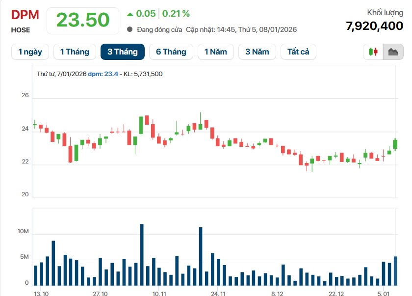 Mỗi nhân viên mang về gần hơn 900 triệu doanh thu/tháng, Đạm Phú Mỹ (DPM) toan tính gì cho năm 2026?- Ảnh 2.