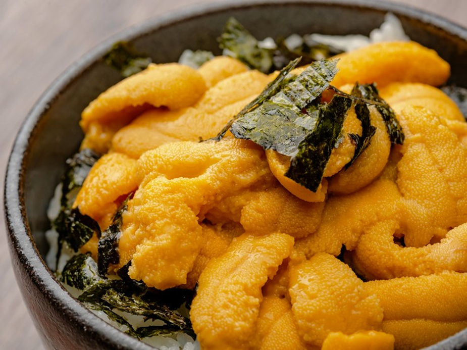 Sinh vật duy nhất trên Trái đất "nhìn bằng chân": Hóa ra là "nhân sâm của biển" - Ảnh 2.