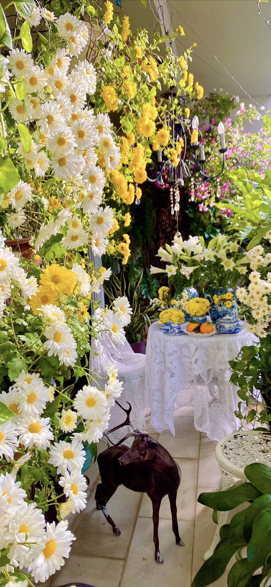 Căn hộ 156m² ngập hoa của vợ chồng U60 ở Hà Nội - nơi tuổi trung niên chậm lại và an yên- Ảnh 7.