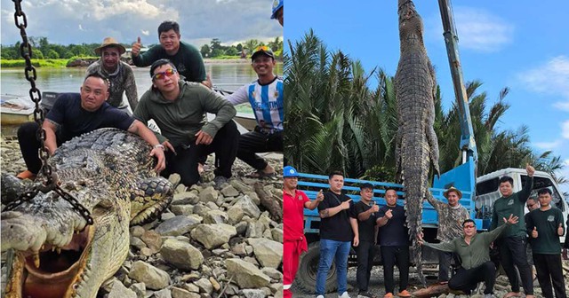 Bắt được "quái thú" nặng gần 1 tấn: Trước đó 3 con dê cùng nhiều vật nuôi đã liên tiếp biến mất đầy bí ẩn- Ảnh 3.