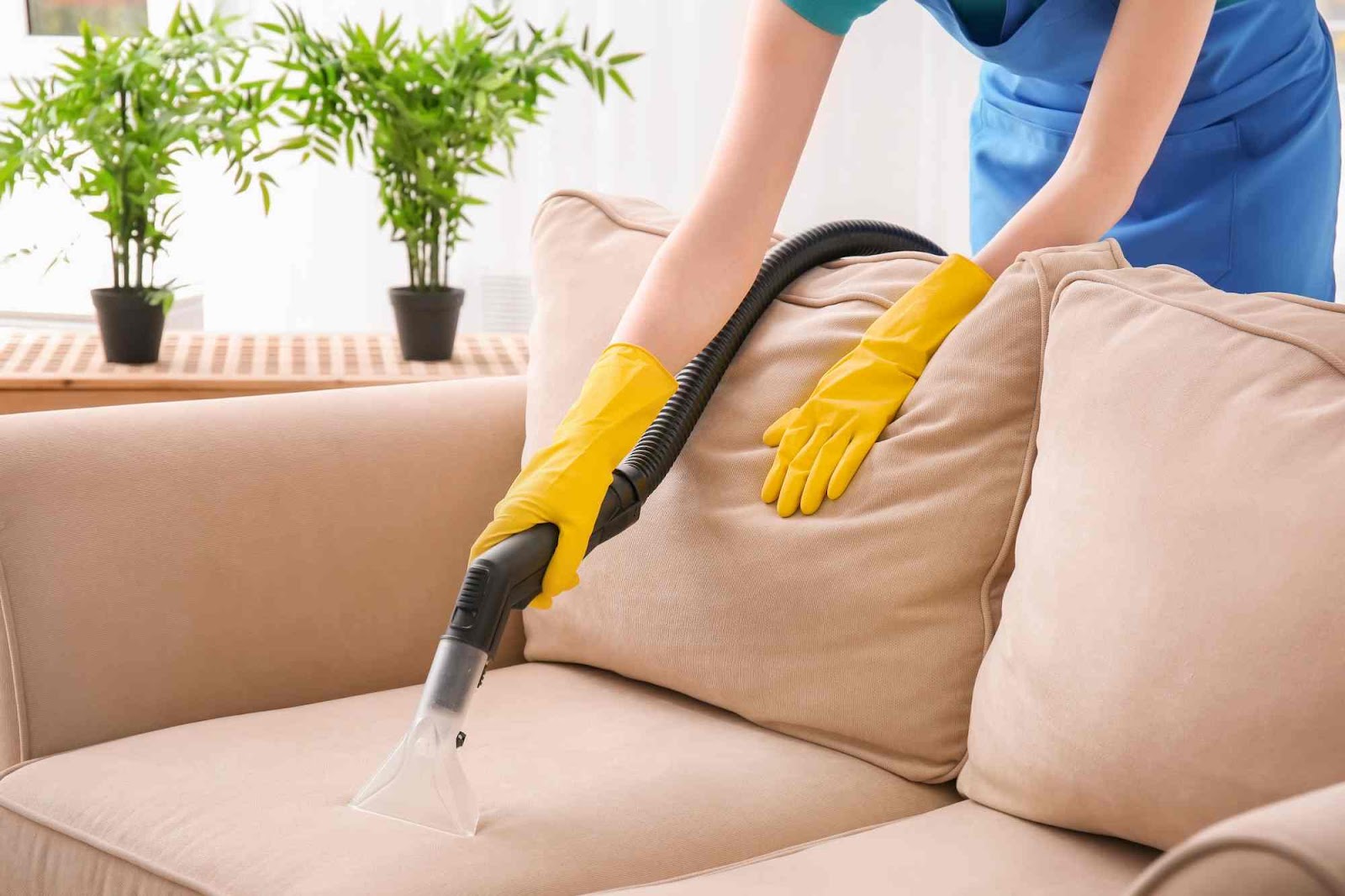 Lời khuyên cho các gia đình đang sử dụng sofa vải - Ảnh 2.