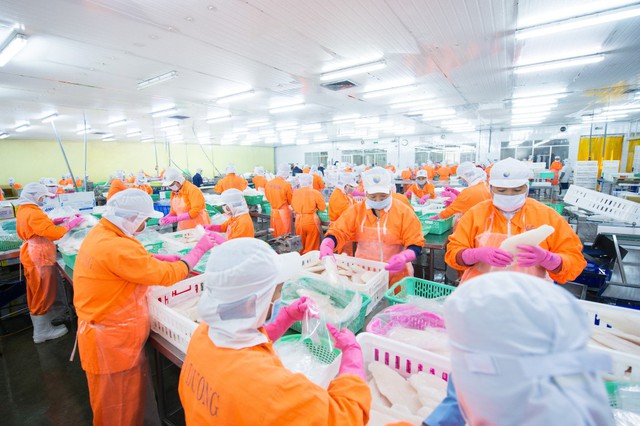 Nam Việt chia cổ tức bằng tiền mặt tỷ lệ 10%- Ảnh 1.