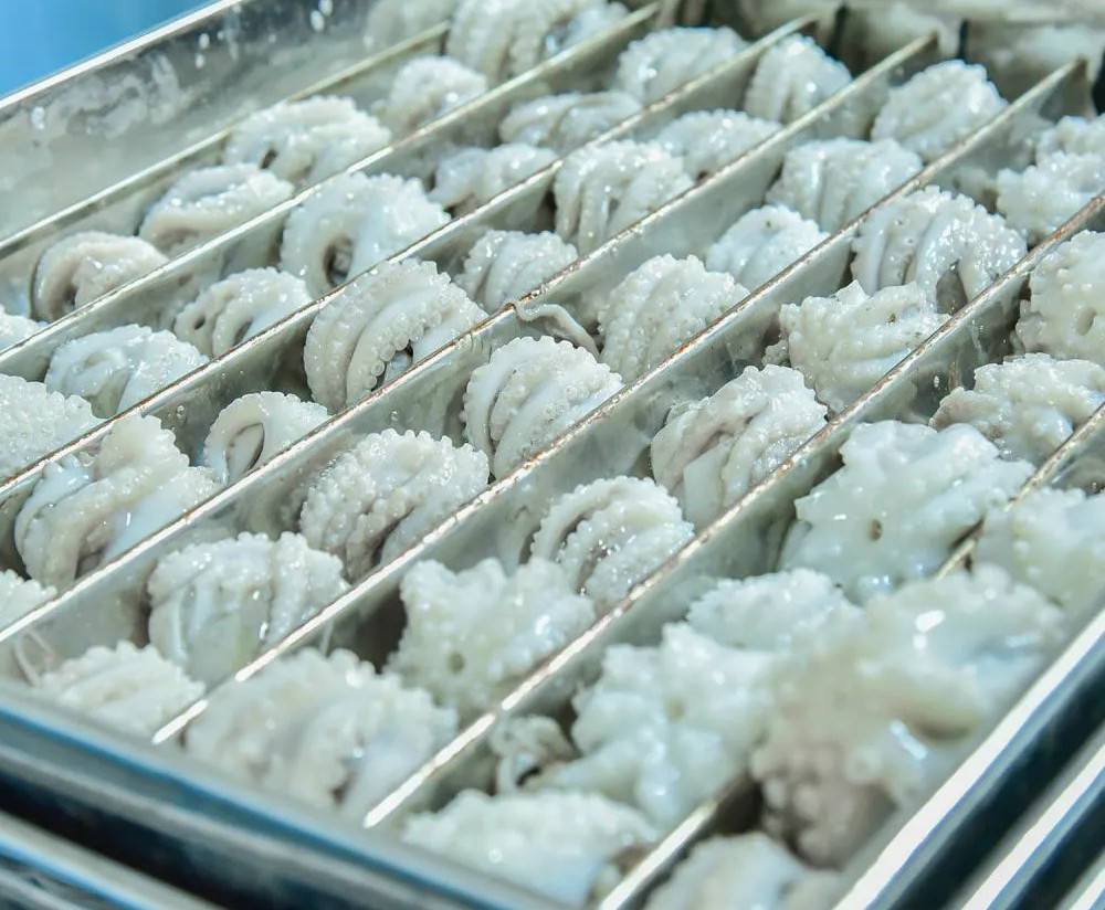 Loại hải sản bán đầy chợ Việt, được Hàn Quốc không tiếc tiền mua: Ăn ngon còn tốt từ tim đến não, xương khớp- Ảnh 2.