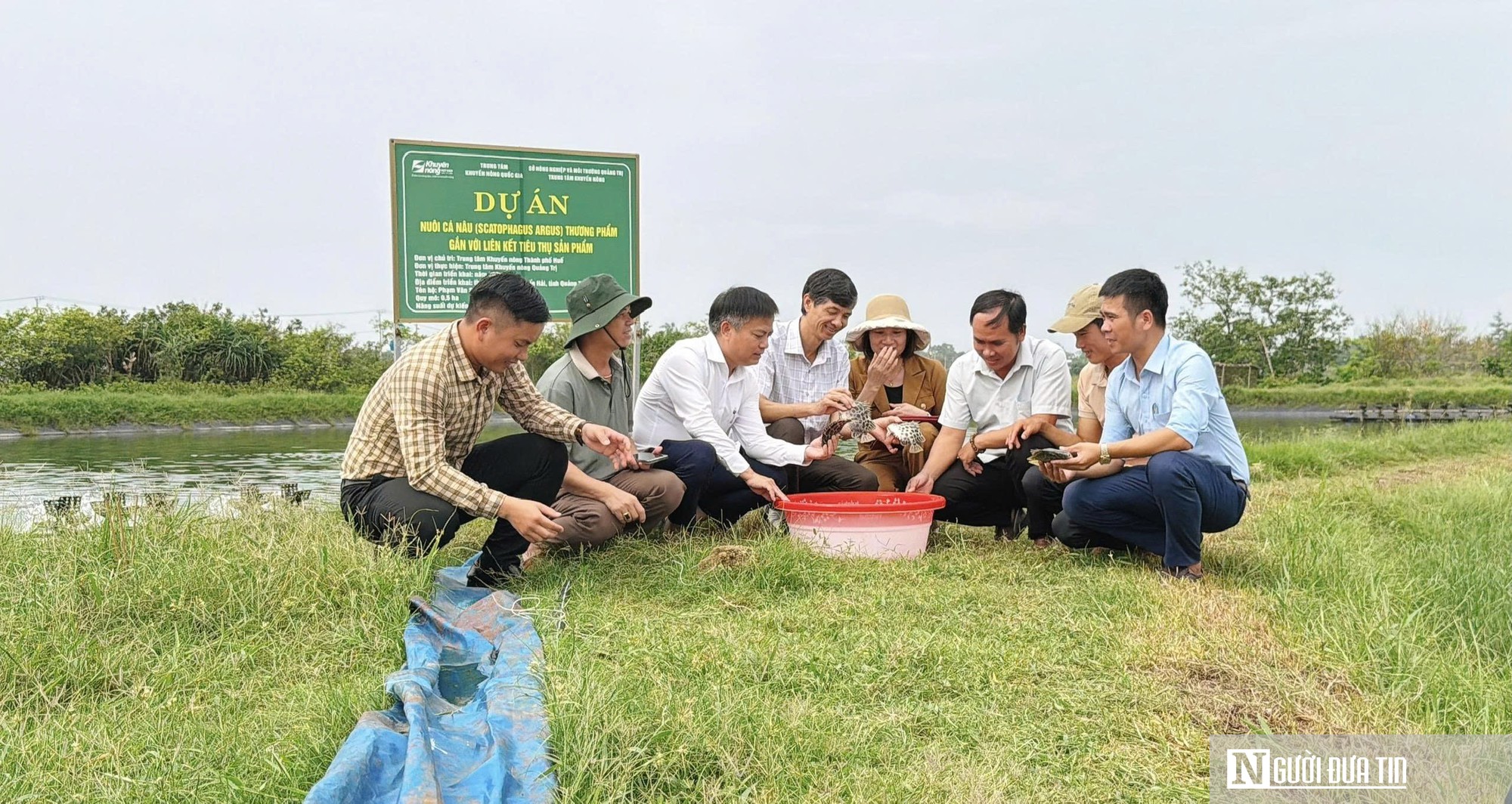 Quảng Trị: Đổi giống, thay mô hình và giấc mơ sinh kế dân vùng cát- Ảnh 2.