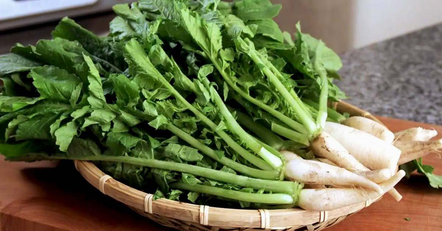 Đừng chỉ ăn củ, lá loại cây này quý như "nhân sâ - Ảnh 1.