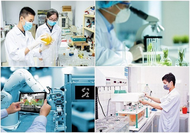 Quy định cơ chế thu hút chuyên gia, tài năng trẻ trong hoạt động đổi mới sáng tạo, khai thác dữ liệu- Ảnh 1.