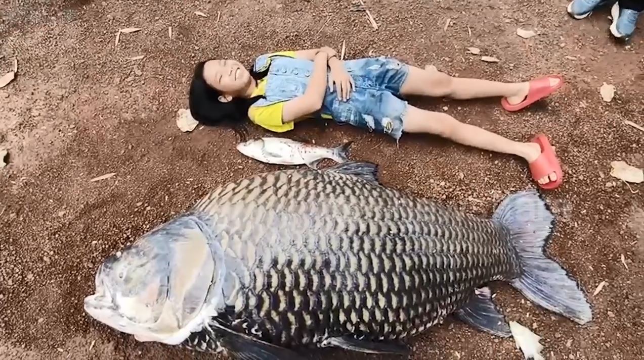 Người dân bắt được con cá chép khổng lồ nặng 100kg trên sông - Ảnh 1.