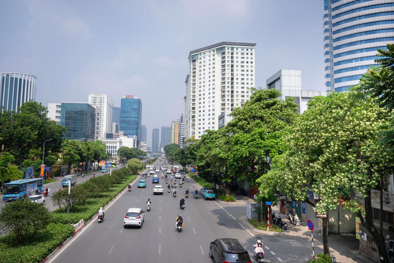 Những tuyến phố nhiều hoa sữa nhất Hà Nội: Cùng một đoạn đường người đứng lại hít hà, người đeo 2 lớp khẩu trang phóng cho nhanh- Ảnh 6.