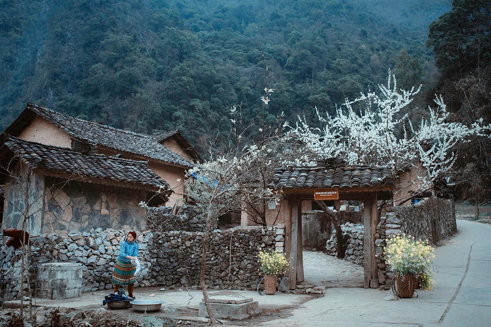Chỉ còn 9 ngày nữa, 240ha hoa tam giác mạch đẹp nhất Việt Nam chính thức mở cửa, có nơi người dân được ngắm miễn phí- Ảnh 7.