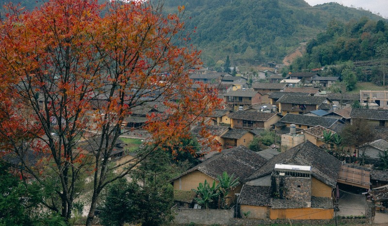 Chỉ còn 9 ngày nữa, 240ha hoa tam giác mạch đẹp nhất Việt Nam chính thức mở cửa, có nơi người dân được ngắm miễn phí- Ảnh 8.