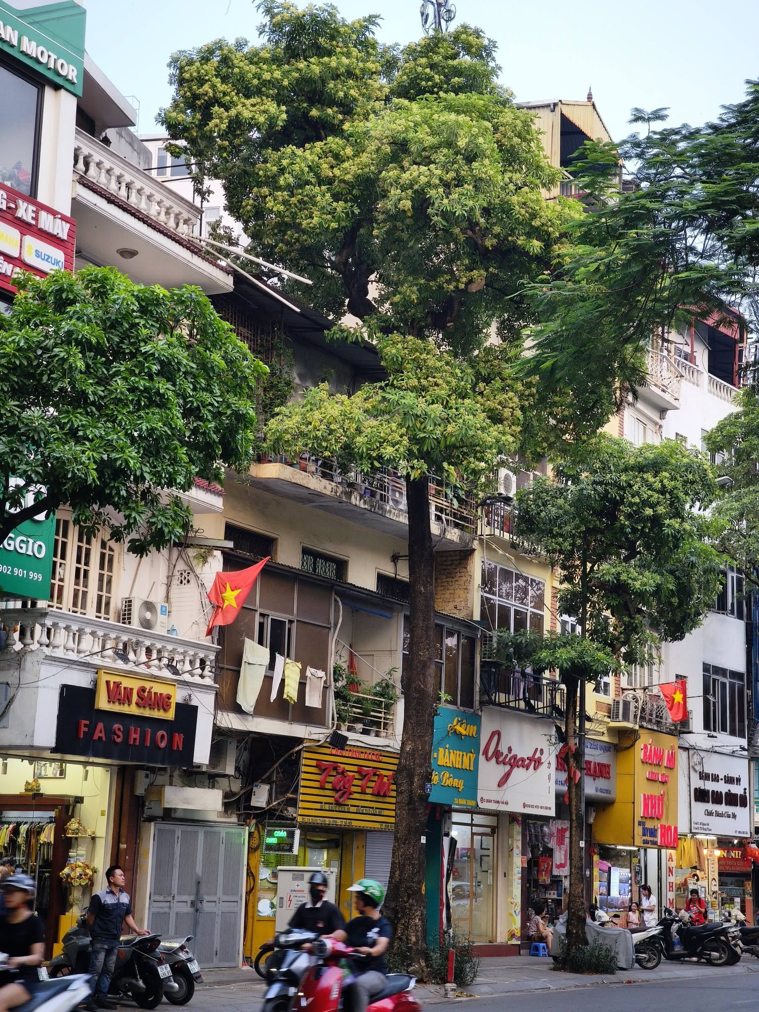Những tuyến phố nhiều hoa sữa nhất Hà Nội: Cùng một đoạn đường người đứng lại hít hà, người đeo 2 lớp khẩu trang phóng cho nhanh- Ảnh 12.
