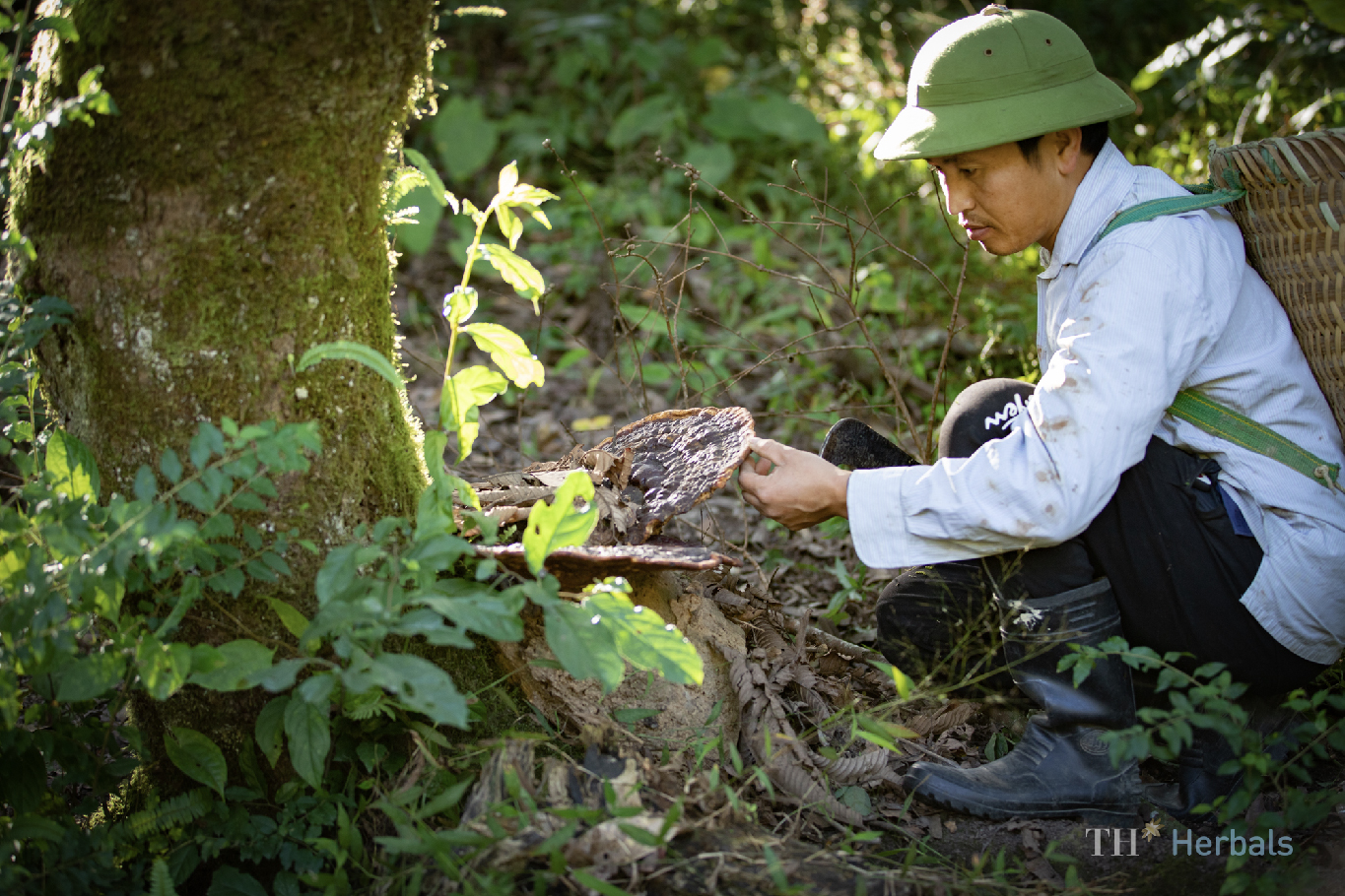 Anh hùng Lao động Thái Hương: Định vị Thương hiệu quốc gia bằng trí tuệ, công nghệ cao và phát triển xanh- Ảnh 6.