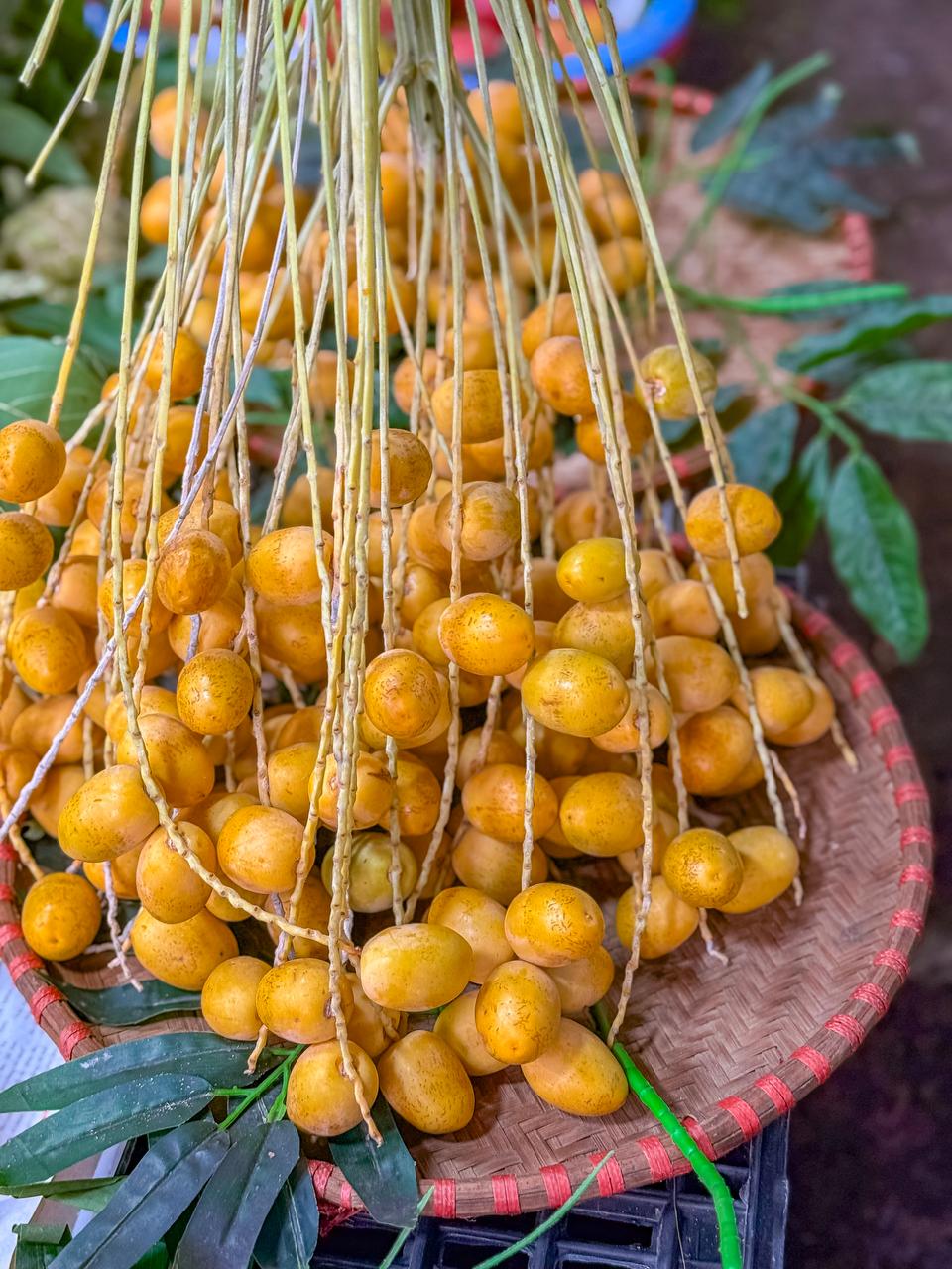 Việt Nam đã trồng được loại quả bé xíu có cách ăn kỳ lạ: Được đồn “cắn dọc thì ngọt, cắn ngang lại chát đến nhăn mặt”- Ảnh 9.