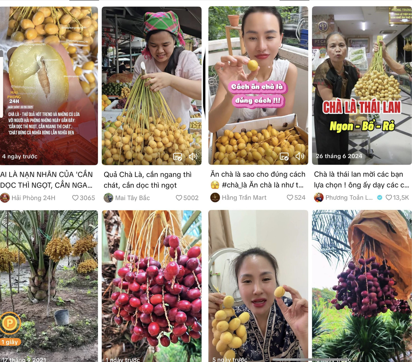 Việt Nam đã trồng được loại quả bé xíu có cách ăn kỳ lạ: Được đồn “cắn dọc thì ngọt, cắn ngang lại chát đến nhăn mặt”- Ảnh 4.