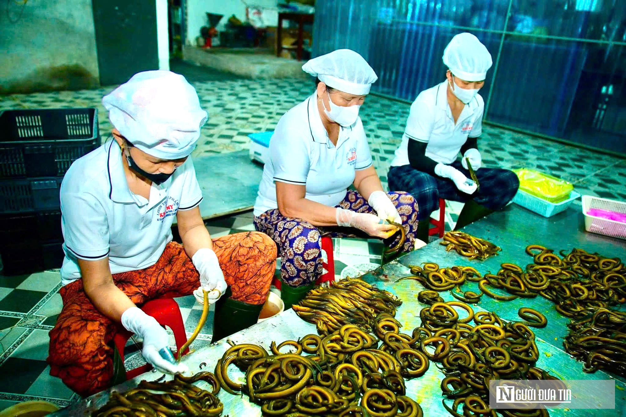 Bất ngờ về làng nghề chế biến con "đặc sản" thu về hàng trăm tỷ đồng mỗi năm- Ảnh 1. Bất ngờ về làng nghề chế biến con "đặc sản" thu về hàng trăm tỷ đồng mỗi năm- Ảnh 1.