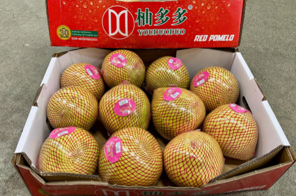 Trung Quốc được mùa với loại quả Việt Nam đang trồng rất nhiều: Châu Âu liên tục chốt đơn, diện tích trồng hơn 100.000 ha - Ảnh 1.