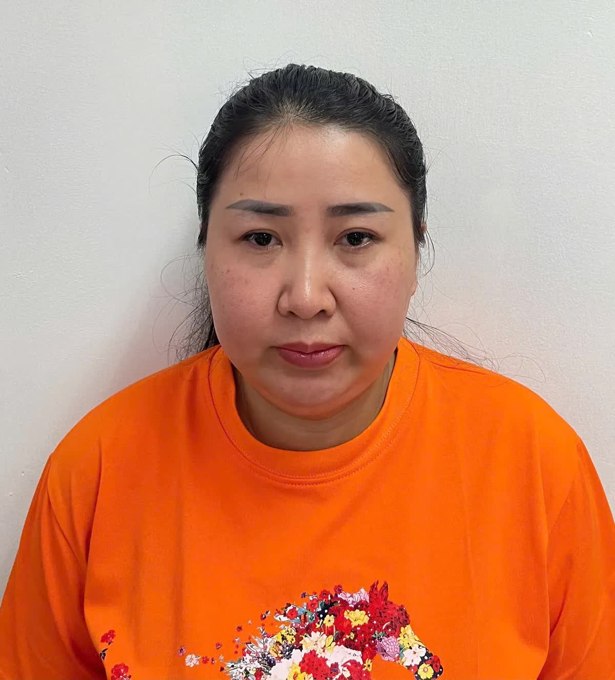 Khởi tố người phụ nữ lừa góp vốn mua hàng chiếm đoạt hơn 15,4 tỷ đồng- Ảnh 2.