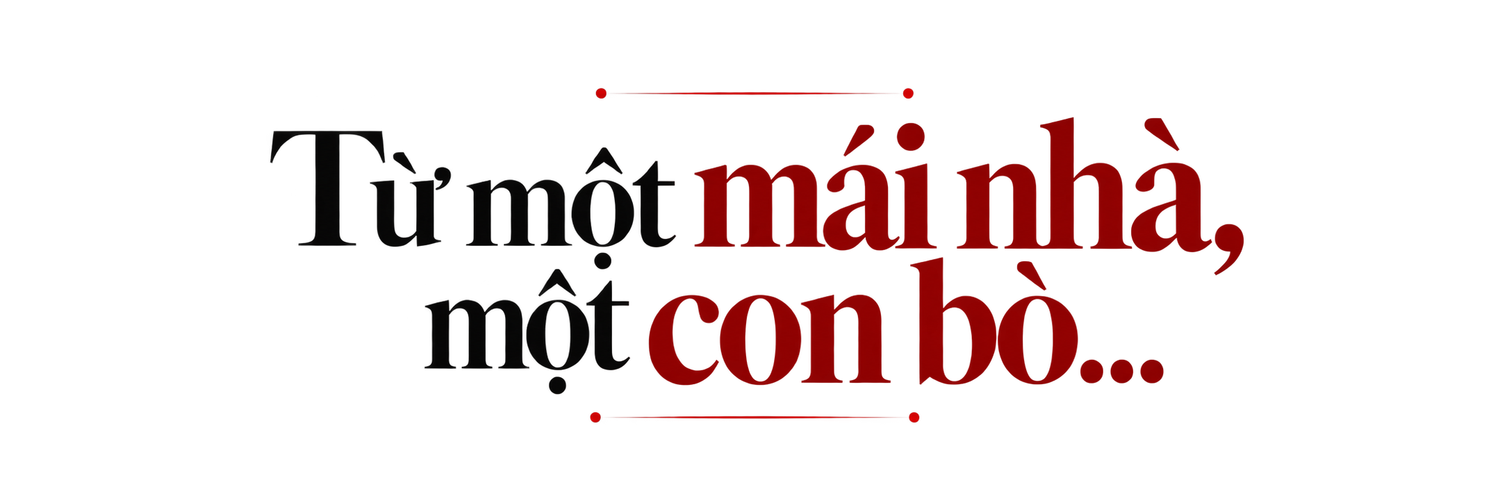 Con bò, lồng cá, em bé chào đời ven đường và 46.000 tỷ sau 20 năm: Bên trong Quỹ từ thiện do ông Phạm Nhật Vượng sáng lập và chuyện ít người biết - Ảnh 1.