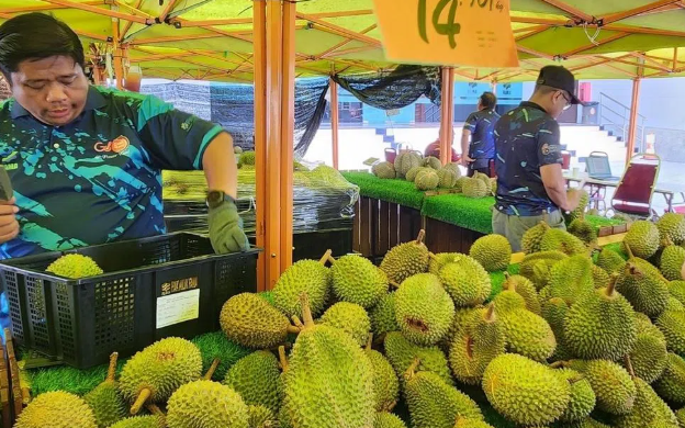 Đua với sầu riêng Việt Nam, Thái Lan, một đối thủ tính mở tuyến đường đặc biệt đi qua 4 nước, đưa sầu riêng tươi sang thị trường tỷ dân Trung Quốc