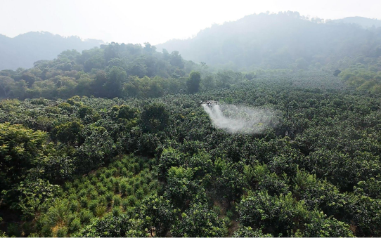 FPT Retail sắp triển khai hàng loạt UAV tại một tỉnh Tây Bắc, thực hiện nhiệm vụ quan trọng