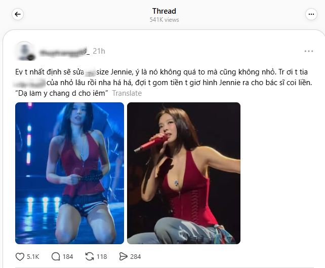 Bức hình bikini khiến Jennie (BLACKPINK) bị chỉ trích- Ảnh 8.