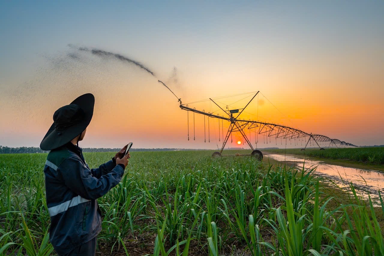 Agris Gia Tăng Đóng Góp Nguồn Lực Cho Tăng Trưởng Quốc Gia Agris Gia Tăng Đóng Góp Nguồn Lực Cho Tăng Trưởng Quốc Gia - Ảnh 2.