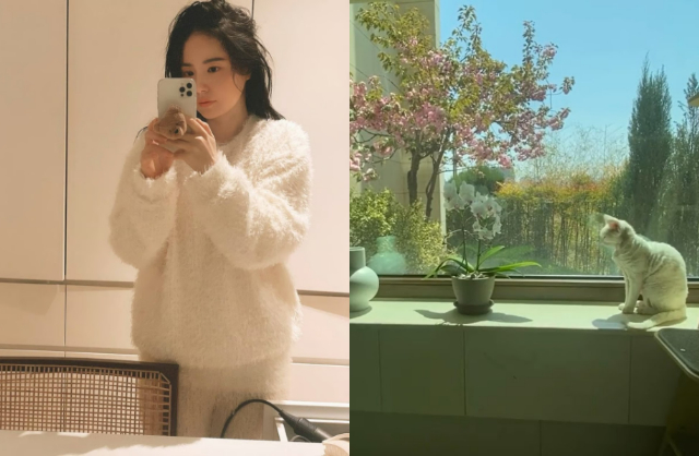 Bên trong căn nhà tân hôn 342 tỷ đồng của Taeyang - Min Hyo Rin: Sang chảnh lóa mắt, nhìn đến hàng xóm mà choáng- Ảnh 6.