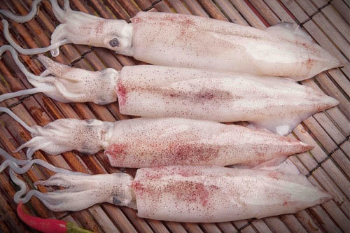 Bà chủ hàng hải sản nhắc: 4 loại mực có giảm 1/3 giá cũng đừng ham, càng chèo kéo càng nên "quay xe"- Ảnh 1.