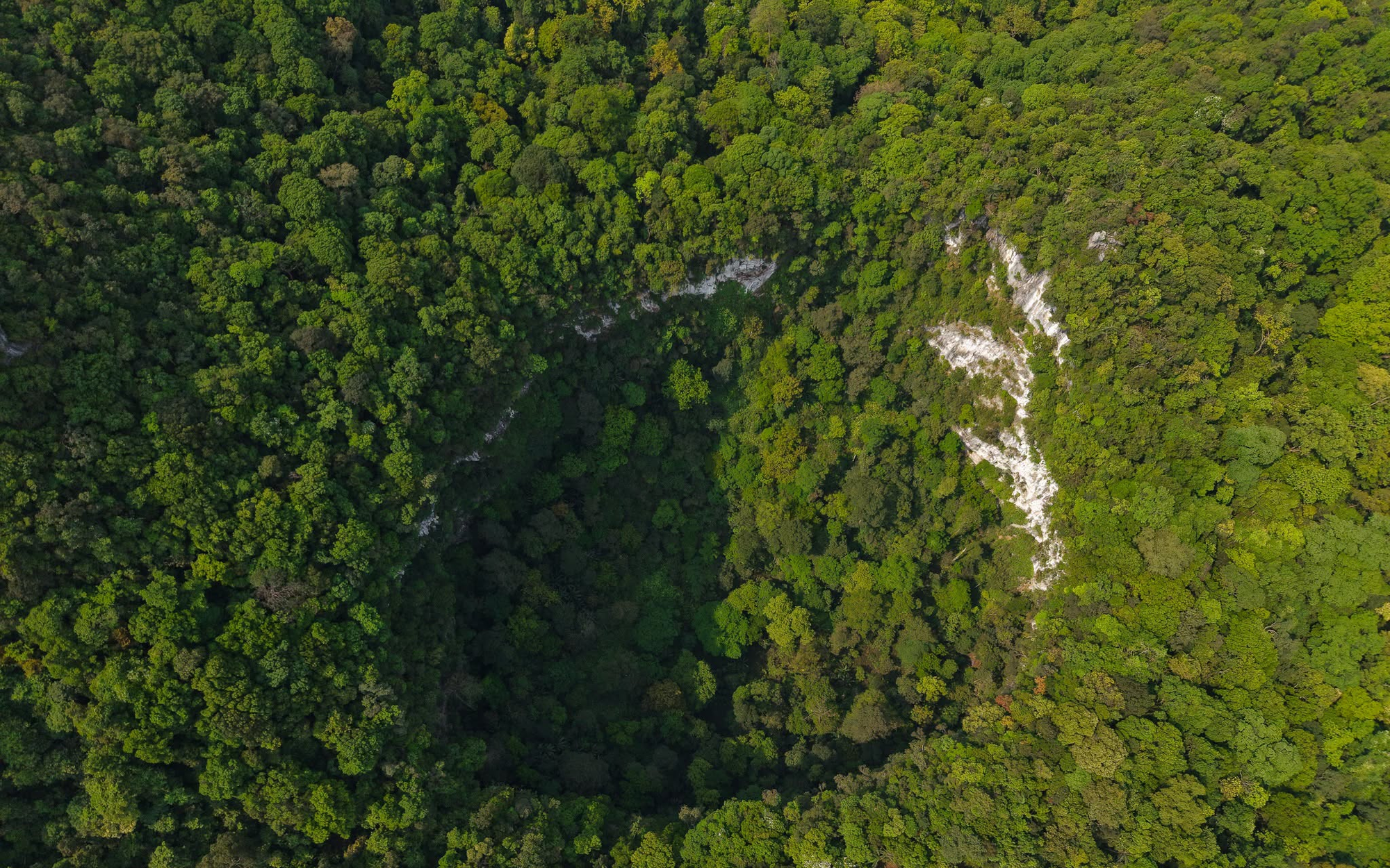 Từ một vùng tối trên Google Earth, phát hiện hố sụt khổng lồ sâu 120 m chưa từng thấy trong Vườn Quốc gia ở Việt Nam: Chuyên gia nhận định ngay 1 điều