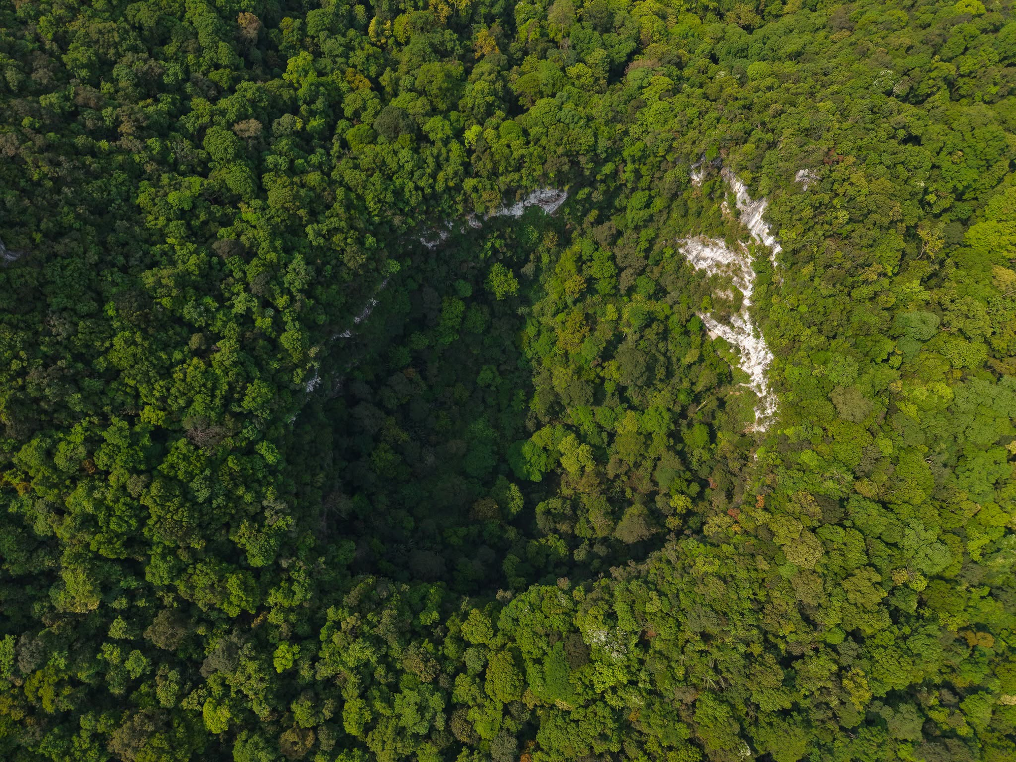 Từ một vùng tối trên Google Earth, phát hiện hố sụt khổng lồ sâu 120 m chưa từng thấy trong Vườn Quốc gia ở Việt Nam: Chuyên gia nhận định ngay 1 điều - Ảnh 1.