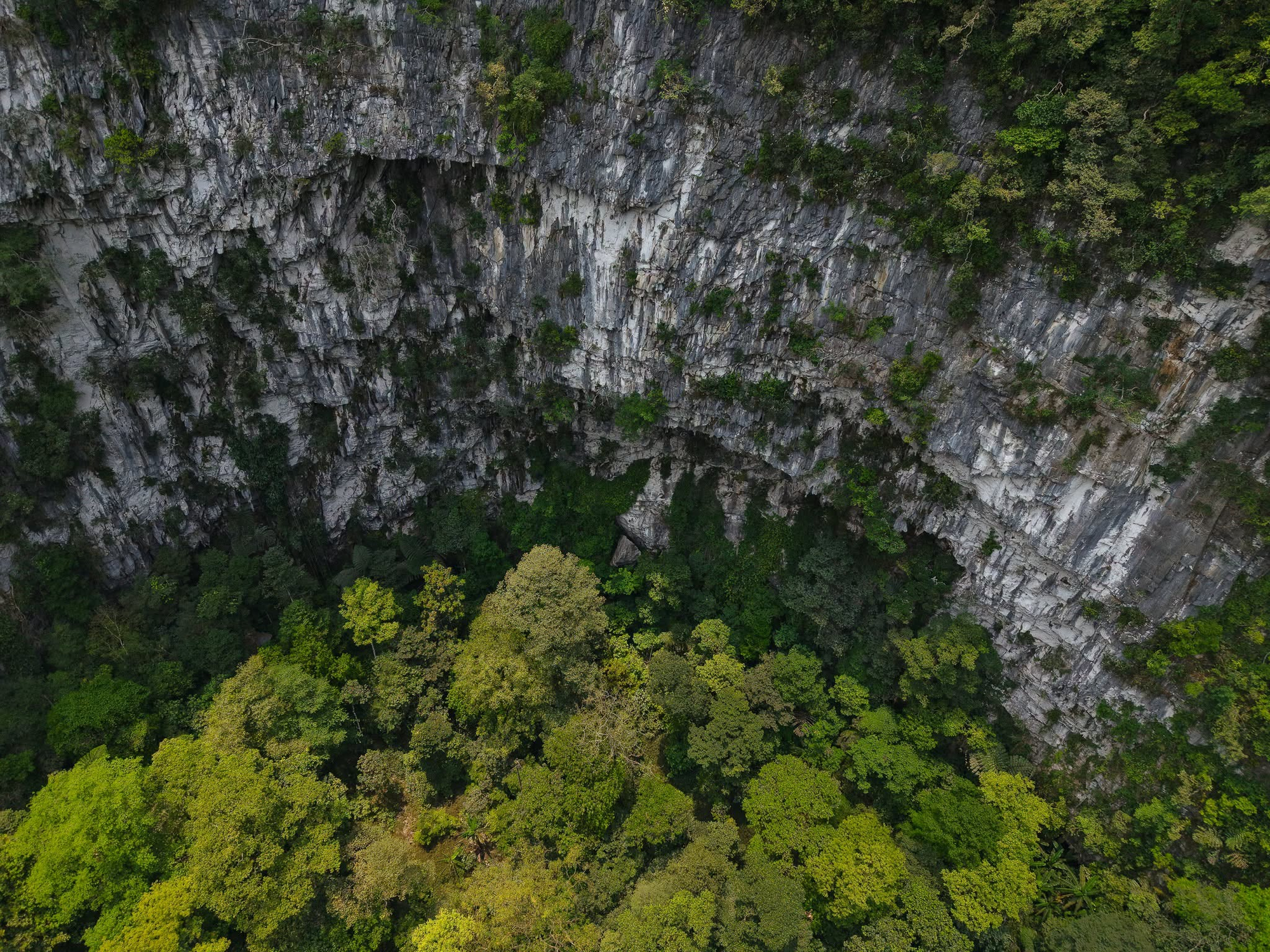 Từ một vùng tối trên Google Earth, phát hiện hố sụt khổng lồ sâu 120 m chưa từng thấy trong Vườn Quốc gia ở Việt Nam: Chuyên gia nhận định ngay 1 điều - Ảnh 5.