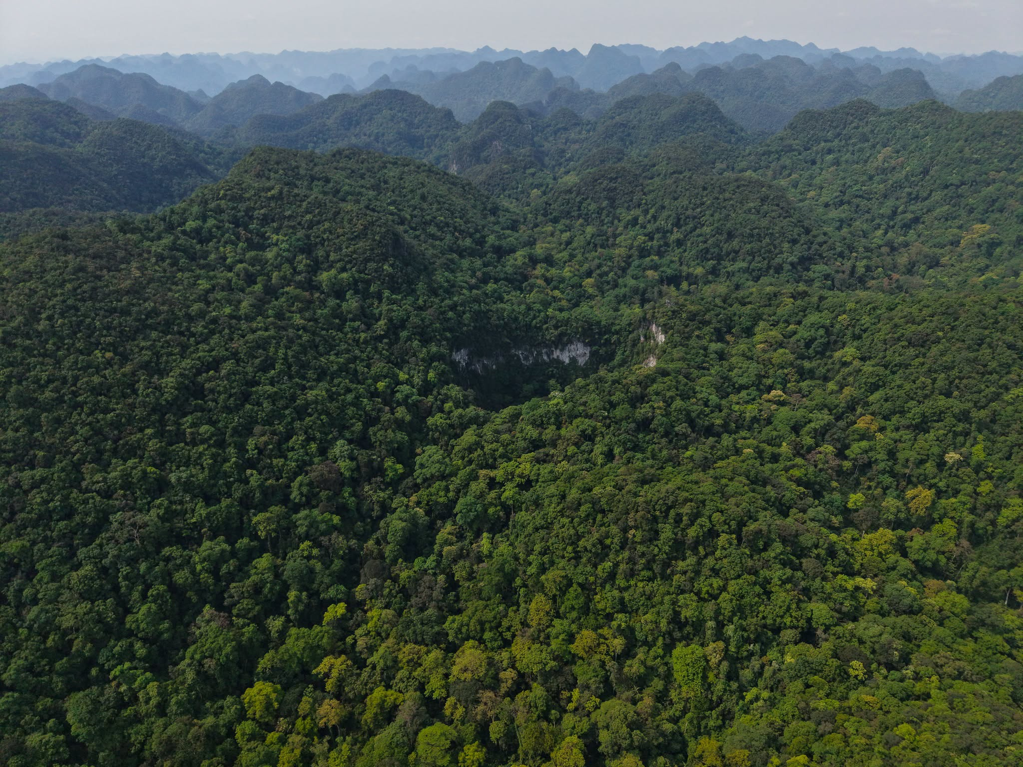 Từ một vùng tối trên Google Earth, phát hiện hố sụt khổng lồ sâu 120 m chưa từng thấy trong Vườn Quốc gia ở Việt Nam: Chuyên gia nhận định ngay 1 điều - Ảnh 6.