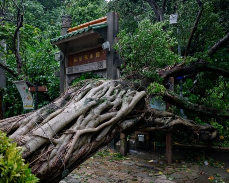 Cảnh tượng trong siêu bão mạnh nhất thế giới 2026 Champi khiến 1 người thiệt mạng, 527 người bị thương- Ảnh 2.
