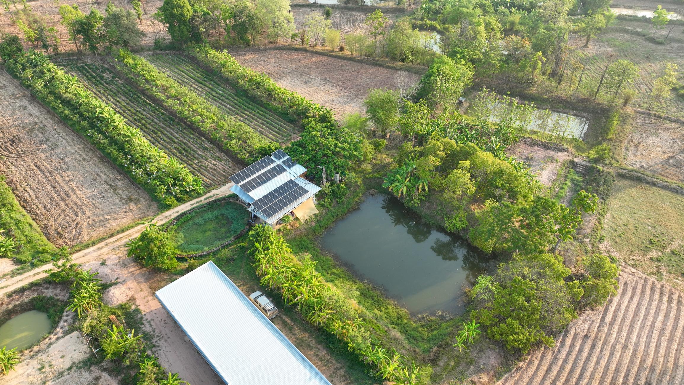 Việt Nam có 'đại gia' sang Lào nhận thầu 2 dự án trị giá 790 tỷ đồng: Tháp đôi 15 tầng, trang trại 94 ha có 3.000 hồ nuôi - Ảnh 2.