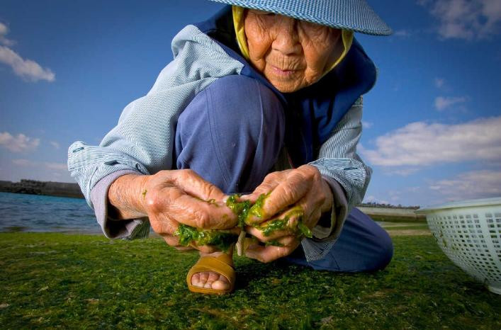 Trò chuyện với 263 người sống thọ nhất thế giới: Bỏ gì thì bỏ nhưng nhất quyết phải duy trì 9 thói quen!- Ảnh 2.