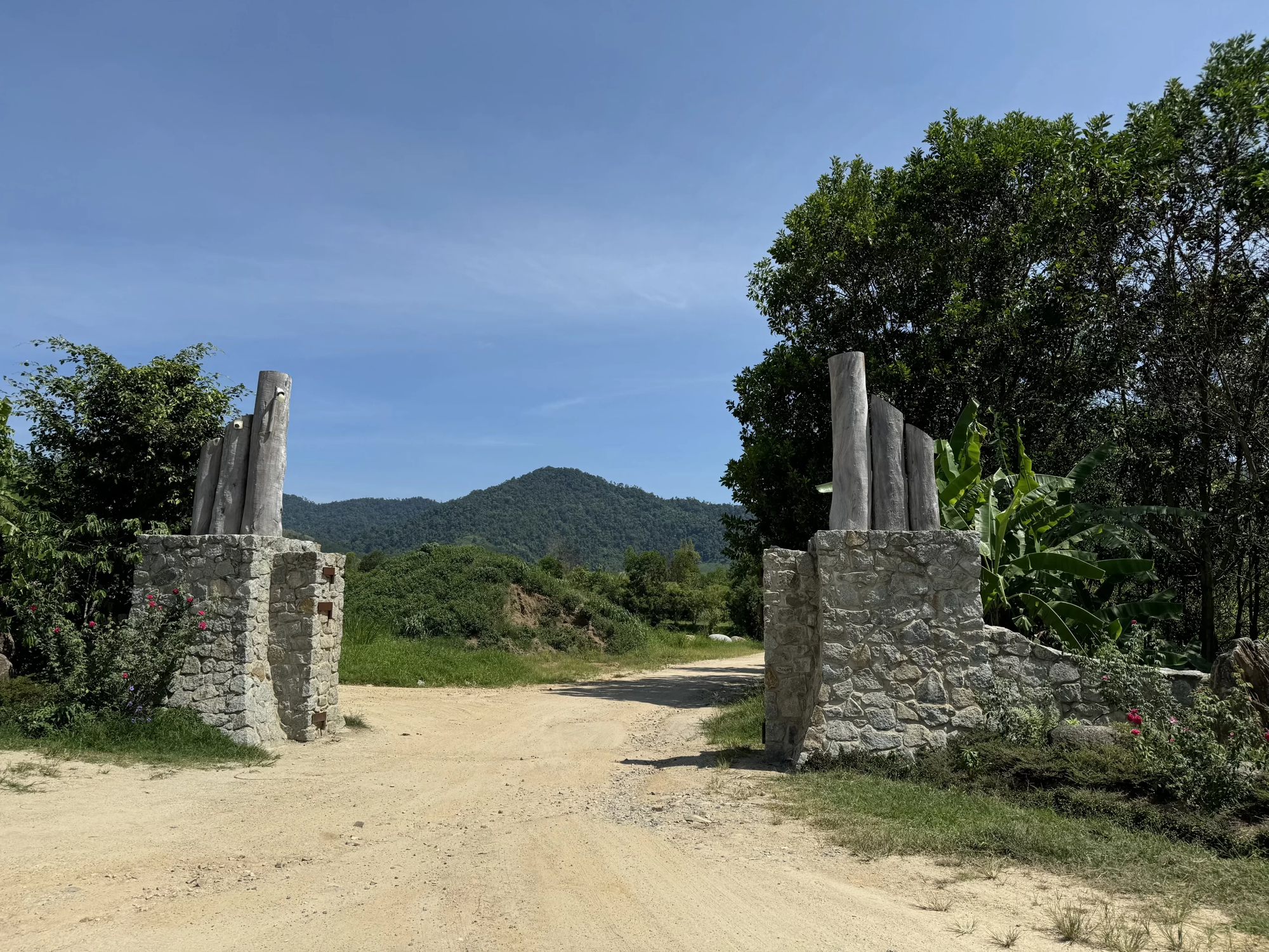 Trang trại chăn nuôi của ông Đặng Lê Nguyên Vũ - Ảnh 1.