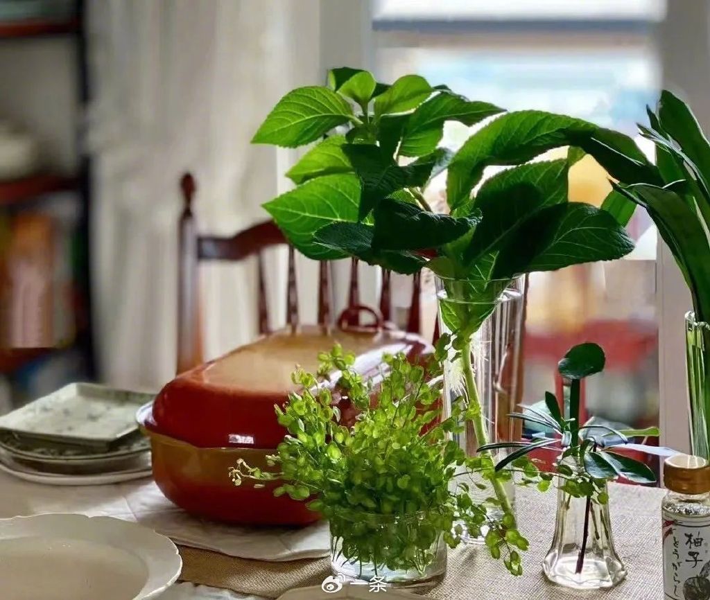 60 tuổi có tiền tiết kiệm nhưng không đầu tư, không bảo hiểm: Cách sống không kế hoạch này liệu có an toàn khi về già?- Ảnh 9.