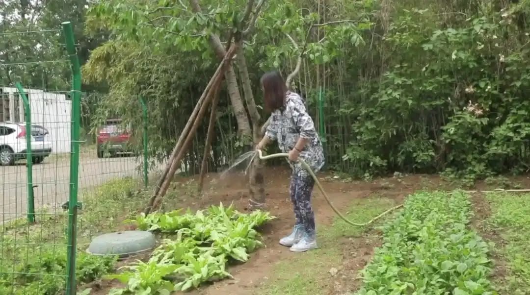 Căn biệt thự của nữ diễn viên quá cố Châu Hải My được rao bán với giá 117 tỷ đồng- Ảnh 9.