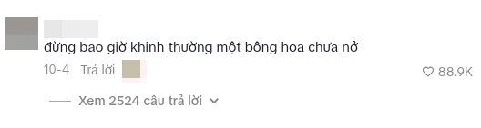 Trend “Đừng bao giờ khinh thường một bông hoa chưa nở” oanh tạc MXH: Nhìn ảnh trước và sau mới hiểu câu nói này - Ảnh 1.